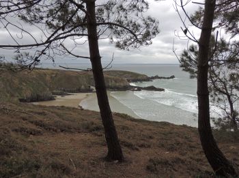 Percorso Marcia Telgruc-sur-Mer - TELGRUC - Photo