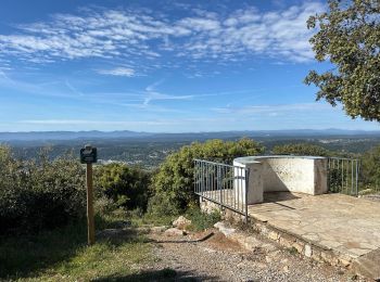 Tocht Stappen Draguignan - Draguignan Malmont 10 km - Photo