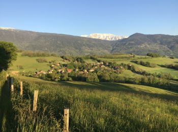 Tocht Mountainbike Eybens - Frange Verte 01 - Photo