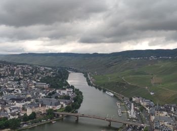 Randonnée Marche Bernkastel-Kues - A travers les Vignes de la Moselle 🌿 - Photo