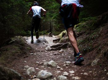 Trail Other activity  - Nouveau 4guide - Photo