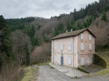 Percorso A piedi Tarentaise - Pilat N°23 : circuit « des barrages » - Photo