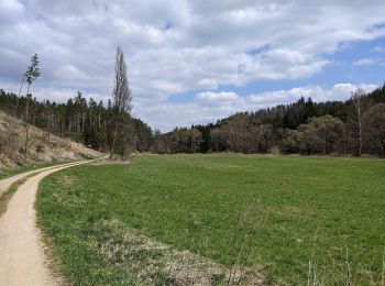 Excursión A pie Velké Meziříčí - naučné stezky Balínského a Nesměřského údolí - Photo