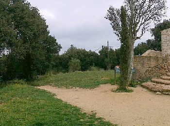 Tocht Te voet Premià de Dalt - SL-C 112 Ruta de l'Esquirol - Photo