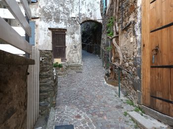 Trail Walking Val-d'Aigoual - 4000 marches-14-06-22 - Photo