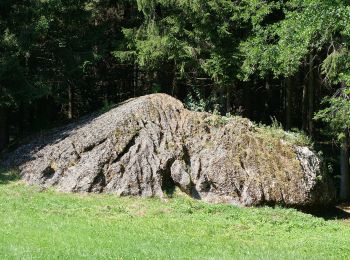 Percorso A piedi Durach - Durach: Bauernfliehburg-Runde - Photo