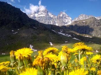 Tocht Te voet Brossasco - Celle di Macra - Pian Melzè - Photo