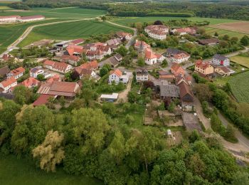 Tocht Te voet Zapfendorf - Rundweg Rote 1 Zapfendorf - Photo