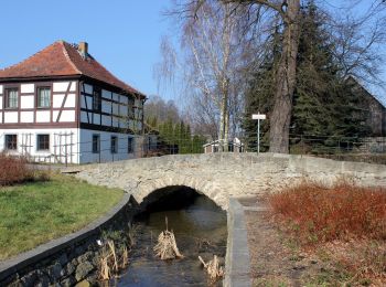 Trail On foot Kamenz - Kamjenc - Gelber Punkt Sandteichrundweg - Photo