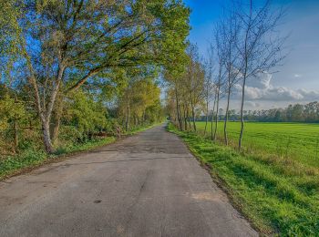 Percorso A piedi Dinslaken - Heidhofsee Rundweg A8 - Photo