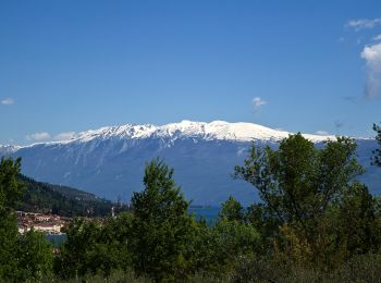 Tocht Te voet Salò - Anello Chiesetta degli Alpini - Salò 2 - Photo