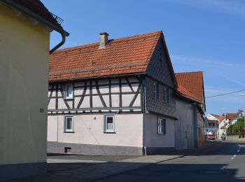 Percorso A piedi Niedernhausen - Gusbacher Strandweg - Photo