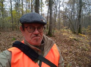 Trail Walking Vendeuvre-sur-Barse - Funghi automne 19 A - Photo
