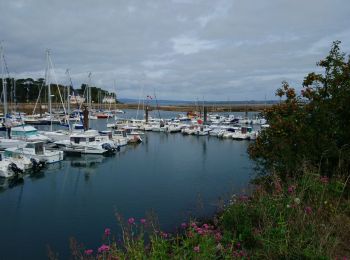 Excursión Senderismo Douarnenez - Douarnenez - GR34 du port de plaisance aux Roches Blanches - 9.7km 165m 2h30 - 2019 09 06 - Photo