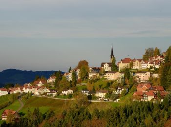 Randonnée A pied Rehetobel - Kaien-St. Anton-Weg - Photo