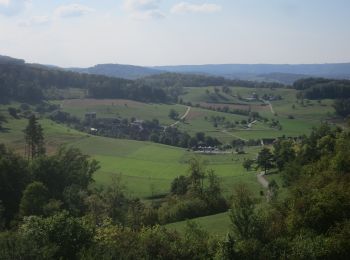 Tour Zu Fuß Thalheim - Zeiher Homberg - Eichwald - Photo