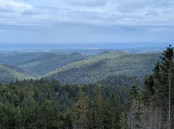 Tour Reiten Turquestein-Blancrupt - suuntoapp-HorsebackRiding-2025-08-31T06-50-03Z - Photo