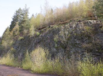 Tocht Te voet Selbitz - Kohlstein-Weg OS 42 - Photo