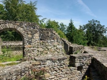 Excursión A pie Geiersthal - DE-3 - Photo