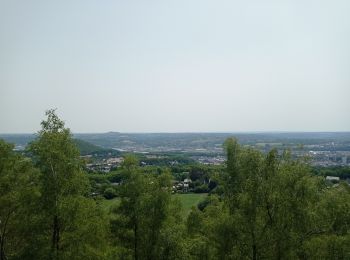 Tocht Stappen Luik - Terril de Vittel - Fond des Tawes - Photo