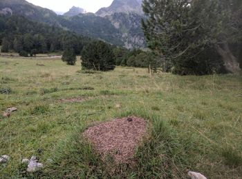 Trail On foot Medel (Lucmagn) - Sentiero naturalistico Lucomagno 3 - Photo