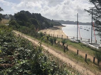 Excursión sport Vannes - Dernière balade en Bretagne  - Photo