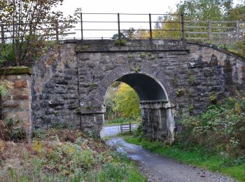 Randonnée A pied  - Birnam Hill Path - Photo