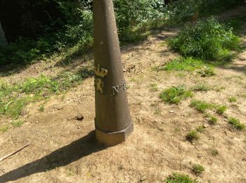 Tocht Stappen Steinfort - Steinfort 12,5 km - Photo