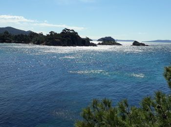 Trail Walking La Londe-les-Maures - sentier du littoral Lalonde les Maures /Borne les mimosas - Photo