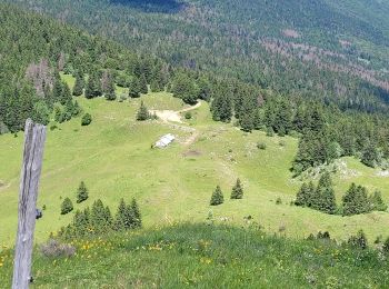 Excursión Senderismo Chézery-Forens - menthiere cret de la goutte pierre à fromag cret de l'eguillon - Photo