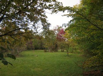 Trail On foot Monrupino / Repentabor - (SI A25) Repen - Basovizza / Bazovica - Photo