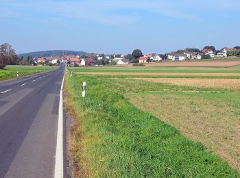 Randonnée A pied Marburg - [A3] - Wanderweg des Verkehrs- und Verschönerungsvereins Marburg - Marburg-Waldtal - Bauerbach - Photo