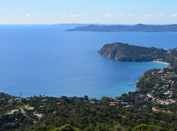 Randonnée Marche Cavalaire-sur-Mer - Plage du Bonporteau et du Rayol - Photo