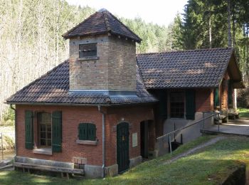 Tocht Te voet Pfalzgrafenweiler - Vier-Burgen-Weg - Photo