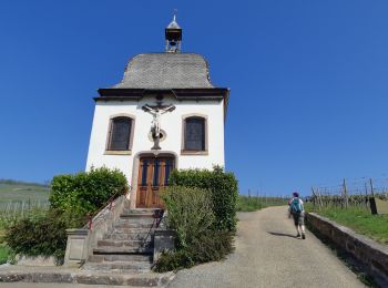 Tour Wandern Marlenheim - marlenheim - Photo