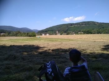 Randonnée Marche Sentheim - Marché de Masevaux bilan carbone : 0 - Photo