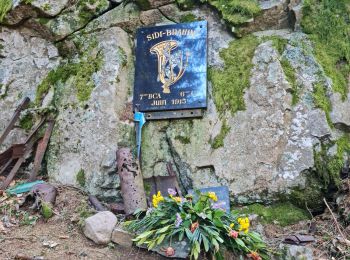 Trail Walking Sondernach - Sortie du 22/04/2022..Landersen..Petit Ballon - Photo