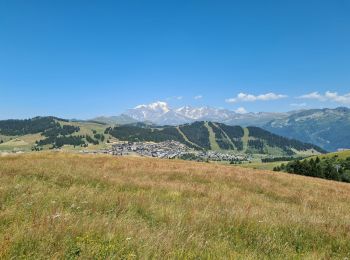 Excursión Senderismo Villard-sur-Doron - Le Chard du Beurre depuis le Hameau du Beaufortain - Photo