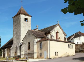 Tocht Te voet Recey-sur-Ource - Circuit de Lugny - Photo