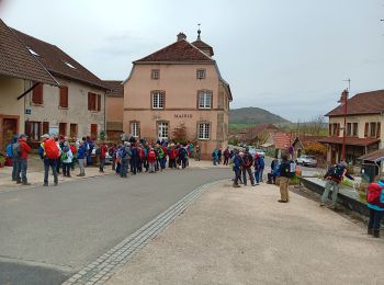 Randonnée Marche Belfort - Marche JO Belfort Couthenans - Photo