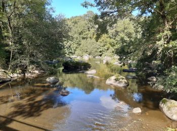 Tour Wandern Saint-Laurent-sur-Sèvre - saint laurent sur sevre - Photo