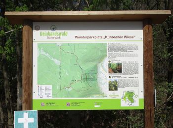 Tocht Te voet Gutsbezirk Reinhardswald - Staufenberg-Runde - Photo