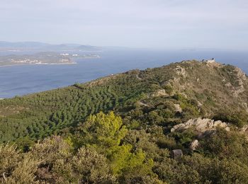 Trail Walking La Seyne-sur-Mer - fabregas parking du bœuf, plage des nudistes, sémaphore, notre dame de mai.  - Photo