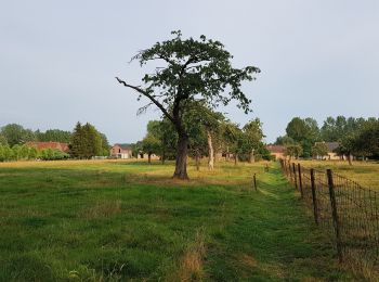 Tour Wandern Chièvres - Wapi 3.06 - La ronde des Piecentes - Photo