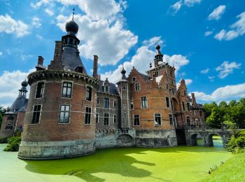 Percorso Marcia Deinze - Le château d’Ooidonk à Deinze - Photo