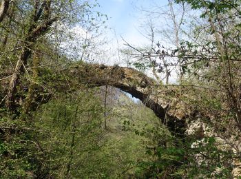 Randonnée Marche Saint-Alban-Leysse - St-Alban-Curienne-2021-04-24 - Photo