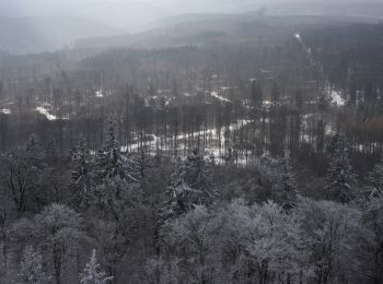 Percorso A piedi Südharz - Wanderweg 