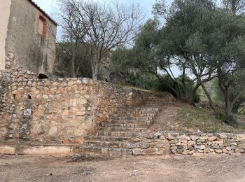 Randonnée Marche Baixas - Boucle Baixas Calce  - Photo