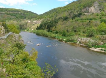 Randonnée Marche Aurec-sur-Loire - saut du chien le besset - Photo