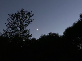 Trail Mountain bike Chirens - Croix des cochettes by night - Photo